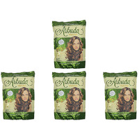Pack of 4 - Arbuda Organic Henna - 500 Gm (1.1 Lb)
