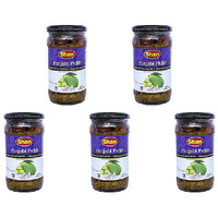 Pack of 5 - Shan Punjabi Mango,Berry & Garlic Pickle - 300 Gm (10.58 Oz)
