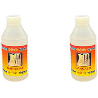 Pack of 2 - Gangotri Gangajal - 100 Ml (3.3 Fl Oz)