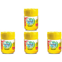 Pack of 4 - Amrutanjan Pain Balm - 27.5 Ml (0.9 Fl Oz)