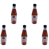 Pack of 5 - Ching's Secret Schezwan Ketchup - 485 Gm (17.1 Oz)