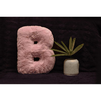 Indian Soft and Flexible Alphabet cushion ||  Alphabet (B) in Baby Pink Color Alphabet cushion  Toy (Size: B)  Especially for Kids
