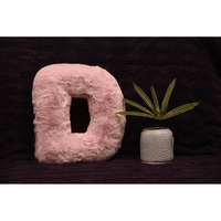 Indian Soft and Flexible Alphabet cushion ||  Alphabet (D) in Baby Pink Color Alphabet cushion  Toy (Size: D)  Especially for Kids