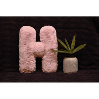 Indian Soft and Flexible Alphabet cushion ||  Alphabet (H) in Baby Pink Color Alphabet cushion  Toy (Size: H)  Especially for Kids