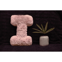 Indian Soft and Flexible Alphabet cushion ||  Alphabet (I) in Baby Pink Color Alphabet cushion  Toy (Size: I)  Especially for Kids