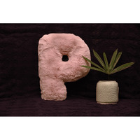 Indian Soft and Flexible Alphabet cushion ||  Alphabet (P) in Baby Pink Color Alphabet cushion  Toy (Size: P)  Especially for Kids