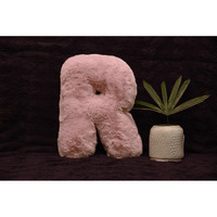Indian Soft and Flexible Alphabet cushion ||  Alphabet (R) in Baby Pink Color Alphabet cushion  Toy (Size: R)  Especially for Kids