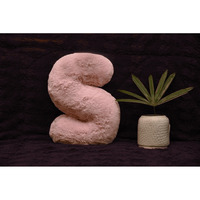 Indian Soft and Flexible Alphabet cushion ||  Alphabet (S) in Baby Pink Color Alphabet cushion  Toy (Size: S)  Especially for Kids