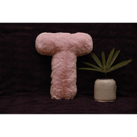 Indian Soft and Flexible Alphabet cushion ||  Alphabet (T) in Baby Pink Color Alphabet cushion  Toy (Size: T)  Especially for Kids