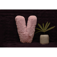Indian Soft and Flexible Alphabet cushion ||  Alphabet (V) in Baby Pink Color Alphabet cushion  Toy (Size: V)  Especially for Kids