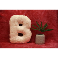 Indian Soft and Flexible Alphabet cushion ||  Alphie - Alphabet (B) in White Color - A Unique, Personalizable Alphabet cushion  Toy (Size: B)  Especially for Kids