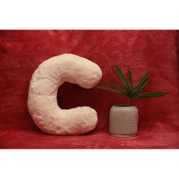 Indian Soft and Flexible Alphabet cushion ||  Alphie - Alphabet (C) in White Color - A Unique, Personalizable Alphabet cushion  Toy (Size: C)  Especially for Kids