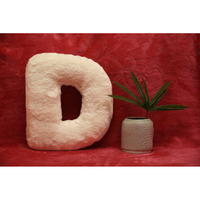 Indian Soft and Flexible Alphabet cushion ||  Alphie - Alphabet (D) in White Color - A Unique, Personalizable Alphabet cushion  Toy (Size: D)  Especially for Kids