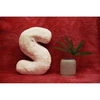 Indian Soft and Flexible Alphabet cushion ||  Alphie - Alphabet (S) in White Color - A Unique, Personalizable Alphabet cushion  Toy (Size: S)  Especially for Kids