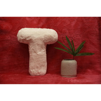 Indian Soft and Flexible Alphabet cushion ||  Alphie - Alphabet (T) in White Color - A Unique, Personalizable Alphabet cushion  Toy (Size: T)  Especially for Kids