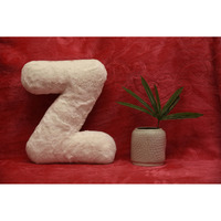 Indian Soft and Flexible Alphabet cushion ||  Alphie - Alphabet (Z) in White Color - A Unique, Personalizable Alphabet cushion  Toy (Size: Z)  Especially for Kids