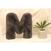 Indian Soft and Flexible Alphabet cushion ||  Alphie - Alphabet (M) in Mouse Color - A Unique, Personalizable Alphabet cushion  Toy (Size: M)  Especially for Kids