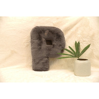 Indian Soft and Flexible Alphabet cushion ||  Alphie - Alphabet (P) in Mouse Color - A Unique, Personalizable Alphabet cushion  Toy (Size: P)  Especially for Kids