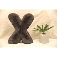 Indian Soft and Flexible Alphabet cushion ||  Alphie - Alphabet (X) in Mouse Color - A Unique, Personalizable Alphabet cushion  Toy (Size: X)  Especially for Kids