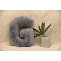 Indian Soft and Flexible Alphabet cushion ||  Alphie - Alphabet (G) in Light Grey Color - A Unique, Personalizable Alphabet cushion  Toy (Size: G)  Especially for Kids