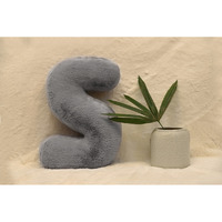 Indian Soft and Flexible Alphabet cushion ||  Alphie - Alphabet (S) in Light Grey Color - A Unique, Personalizable Alphabet cushion  Toy (Size: S)  Especially for Kids