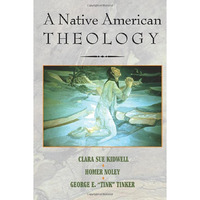 A Native American Theology [Paperback]