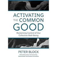 Activating the Common Good: Reclaiming Control of Our Collective Well-Being [Hardcover]
