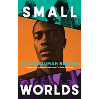 Small Worlds [Hardcover]