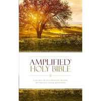 Amplified Holy Bible, Paperback: Captures the Full Meaning Behind the Original G [Paperback]