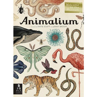 Animalium: Welcome to the Museum [Hardcover]