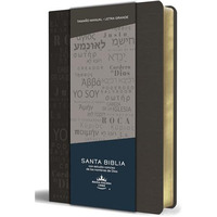 Biblia RVR 1960 letra grande tama?o manual, simil piel gris con nombres de Dios  [Paperback]