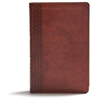 CSB Everyday Study Bible, British Tan LeatherTouch [Unknown]