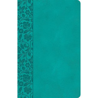 CSB Large Print Personal Size Reference Bible, Teal LeatherTouch [Unknown]