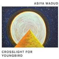 Crosslight for Young Bird [Paperback]