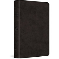Esv Large Print Bible (trutone, Black) [Imitation Leather]