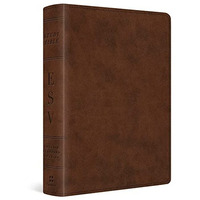 Esv Study Bible, Personal Size (trutone, Brown) [Imitation Leather]