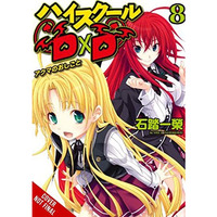 High School DxD, Vol. 8 (light novel): A Demon's Work [Paperback]