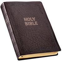 Holy Bible: Kjv Super Giant Print Edition: Brown (king James Bible) [Imitation Leather]