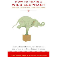 How to Train a Wild Elephant: And Other Adventures in Mindfulness [Paperback]