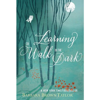 Learning to Walk in the Dark [Paperback]