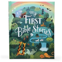 My First Bible Stories [Hardcover]