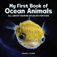 My First Book of Ocean Animals: All About Marine Wildlife for Kids [Hardcover]