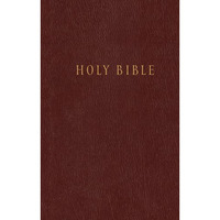 Pew Bible NLT (Hardcover, Burgundy/maroon) [Hardcover]