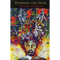Running the Dusk [Paperback]