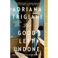 The Good Left Undone: A Novel [Paperback]
