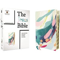 The Jesus Bible Artist Edition, NIV, (With Thumb Tabs to Help Locate the Books o [Leather / fine bindi]