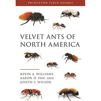 Velvet Ants of North America [Paperback]