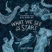 What We See in the Stars: An Illustrated Tour of the Night Sky [Hardcover]