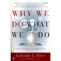 Why We Do What We Do: Understanding Self-Motivation [Paperback]