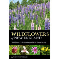 Wildflowers of New England [Paperback]
